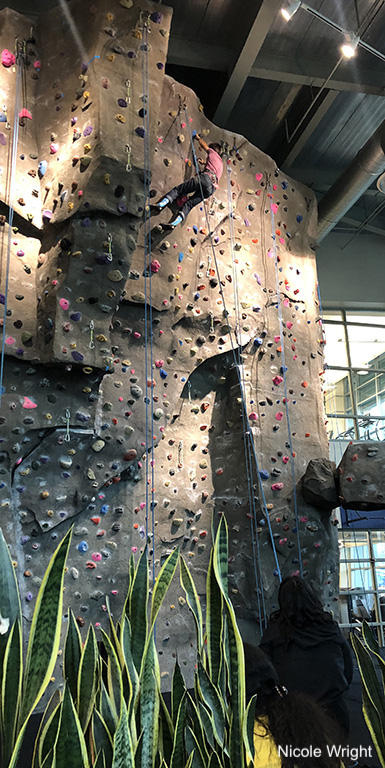 climber ascending rock wall